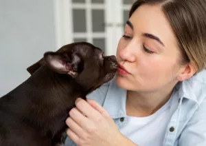 7 raças de cachorro perfeitas para apartamento pequeno