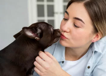 pet ciume 1 - 7 raças de cachorro perfeitas para apartamento pequeno