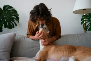 Pets no Brasil: o amor por cães e gatos já move famílias e a economia