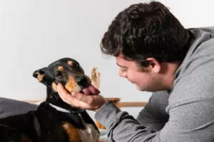 Seu pet está diferente? Entenda quando o comportamento revela dor ou desconforto