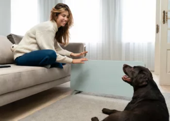 cachorro educado - Como ensinar o cão a respeitar espaços sem grades