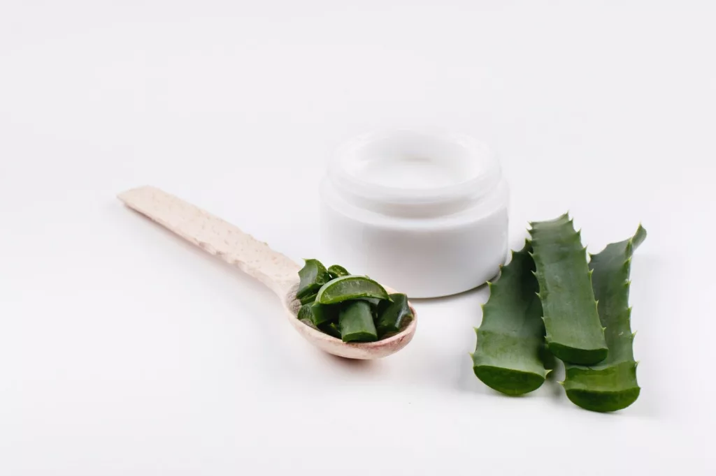 creme aloe vera 2 - Creme com Aloe Vera: o segredo natural para uma pele firme, hidratada e luminosa
