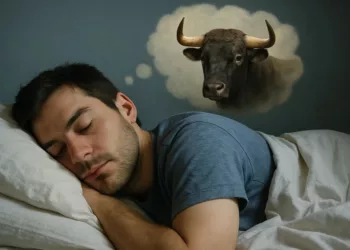 sonhar touro - O que significa sonhar com touro? Interpretações que vão além do óbvio
