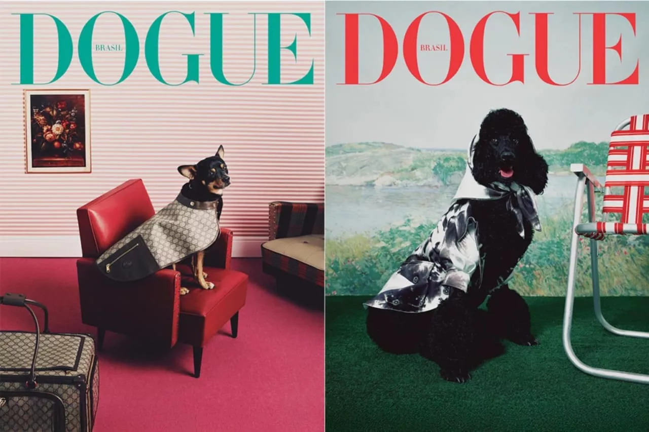 Dogue Vogue 1024x682 1 - Vogue Brasil lança a Dogue: a primeira revista pet com alma fashionista