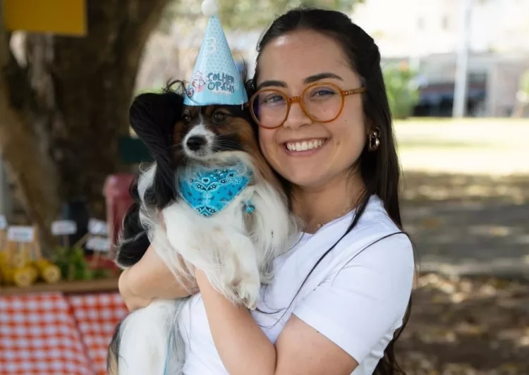 colher de patas - O boom da alimentação natural para pets no Brasil