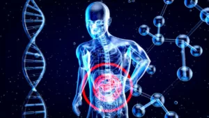 Metabólitos do intestino: o elo surpreendente entre o microbioma, o fígado e a obesidade