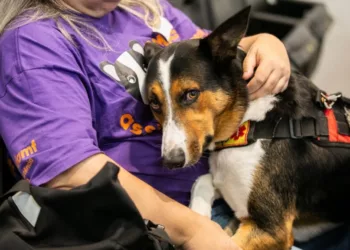 FOTO: Giovanni Kalabaide