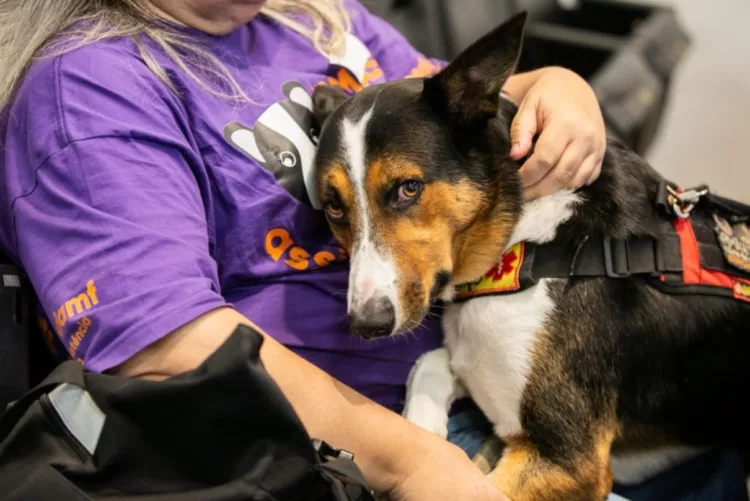 FOTO: Giovanni Kalabaide