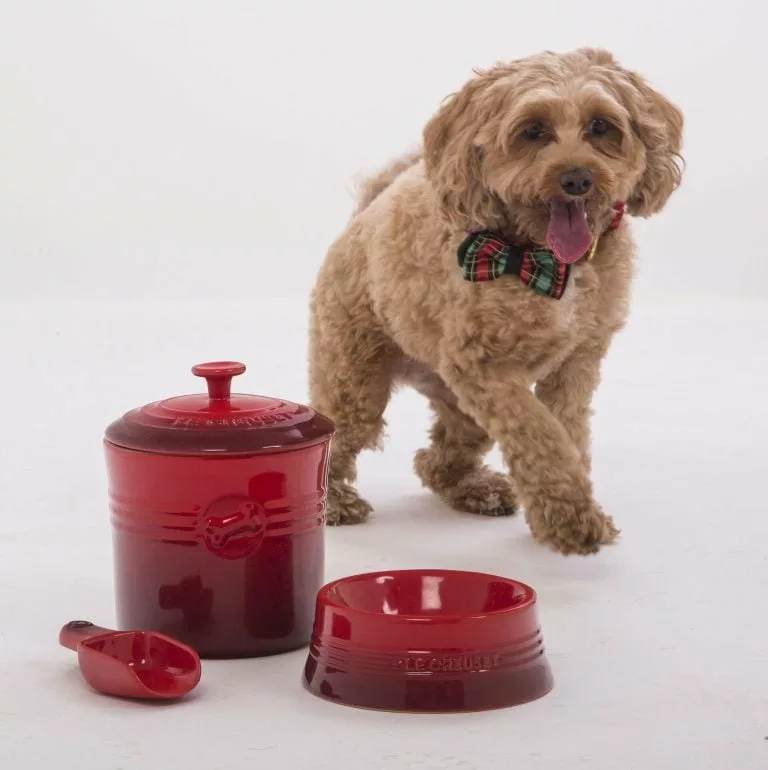Pet Collection Le Creuset Divulgacao 1 768x770 1 - Nova linha Pet Collection da Le Creuset une afeto, beleza e performance na rotina dos pets