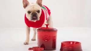 Nova linha Pet Collection da Le Creuset une afeto, beleza e performance na rotina dos pets
