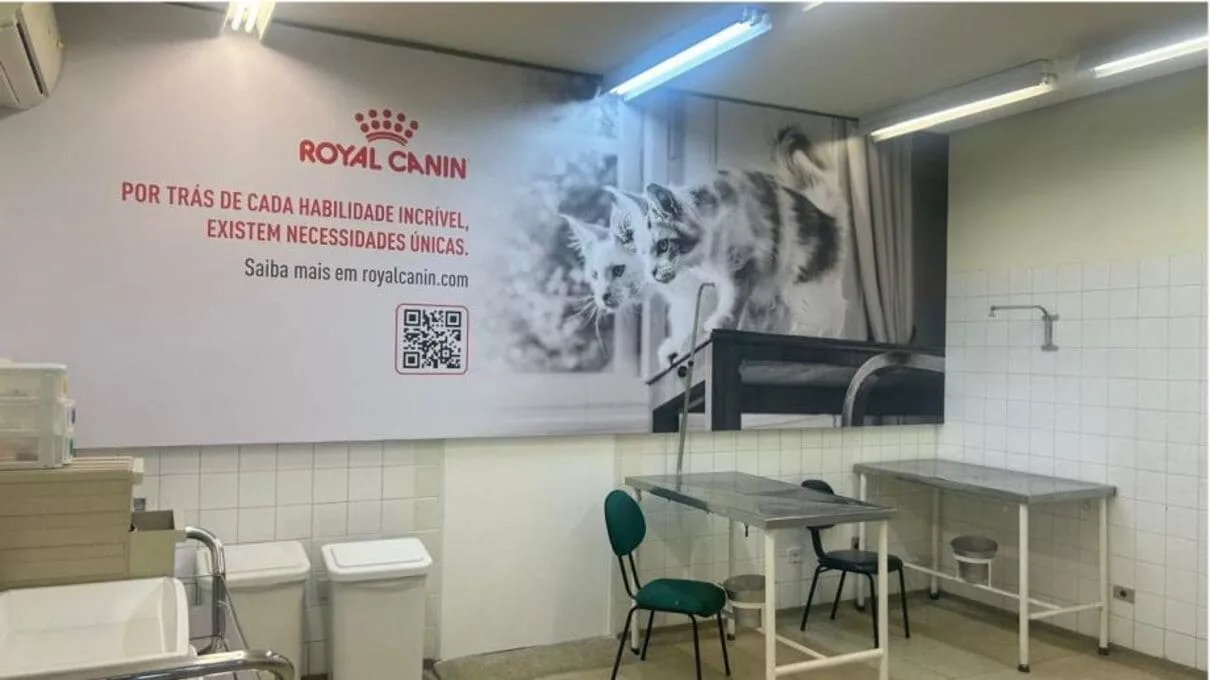 royal - Royal Canin e USP se unem para melhorar ainda mais o atendimento aos felinos