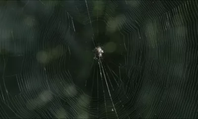 Mari NATUREZAMORTA - “A gruta, a ilha”: abertura dia 20 de dezembro no Sesc Copacabana