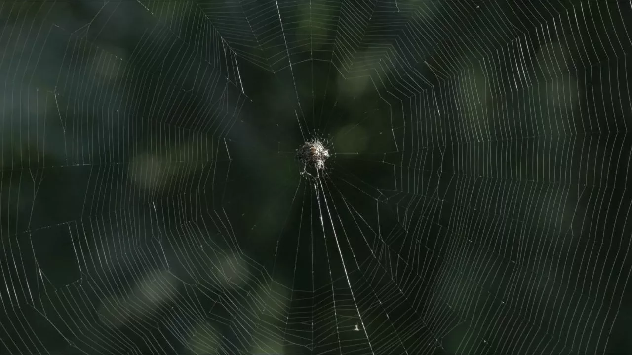 Mari NATUREZAMORTA - “A gruta, a ilha”: abertura dia 20 de dezembro no Sesc Copacabana