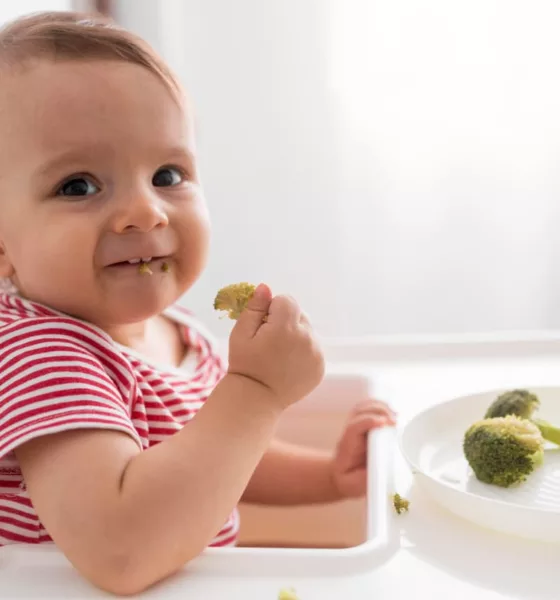 bebe comendo - Tendência à seletividade alimentar em bebês nascidos antes do tempo alerta pais e reforça necessidade de políticas públicas