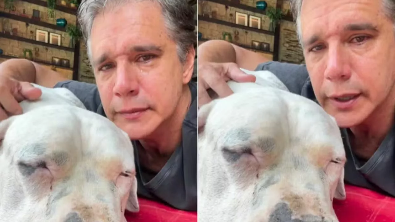 marcio dogo - Márcio Garcia se despede de Bogo, cão da família: "Certas dores só a fé pode acolher"