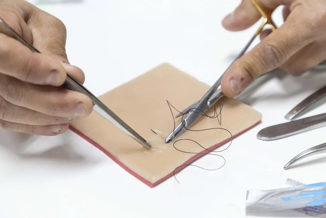 tecpar simulavet 38 - Startup brasileira desenvolve pele artificial para treinos cirúrgicos veterinários e promete revolucionar o ensino