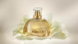 Você já sentiu o perfume que conquistou o Brasil inteiro? Ele foi eleito o melhor de 2025