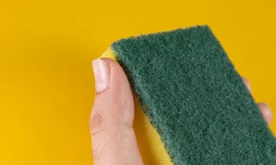 esponja - A esponja que você usa todo dia está soltando plástico na sua pia (e indo parar no seu prato)