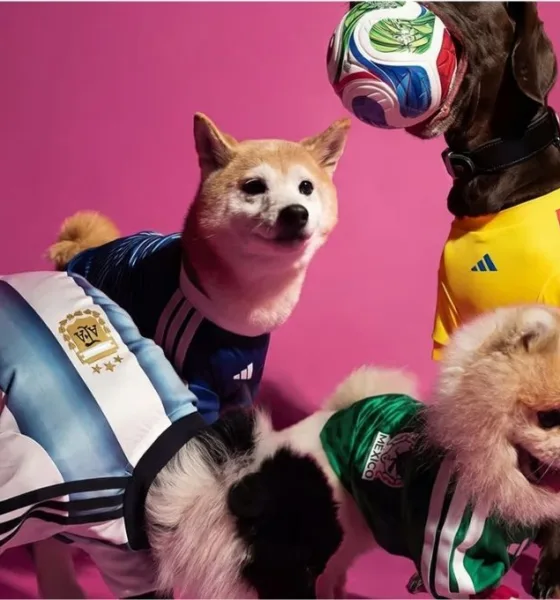 pet adidas - Seu pet pode vestir a camisa da Copa 2026 — e a Adidas tornou isso realidade