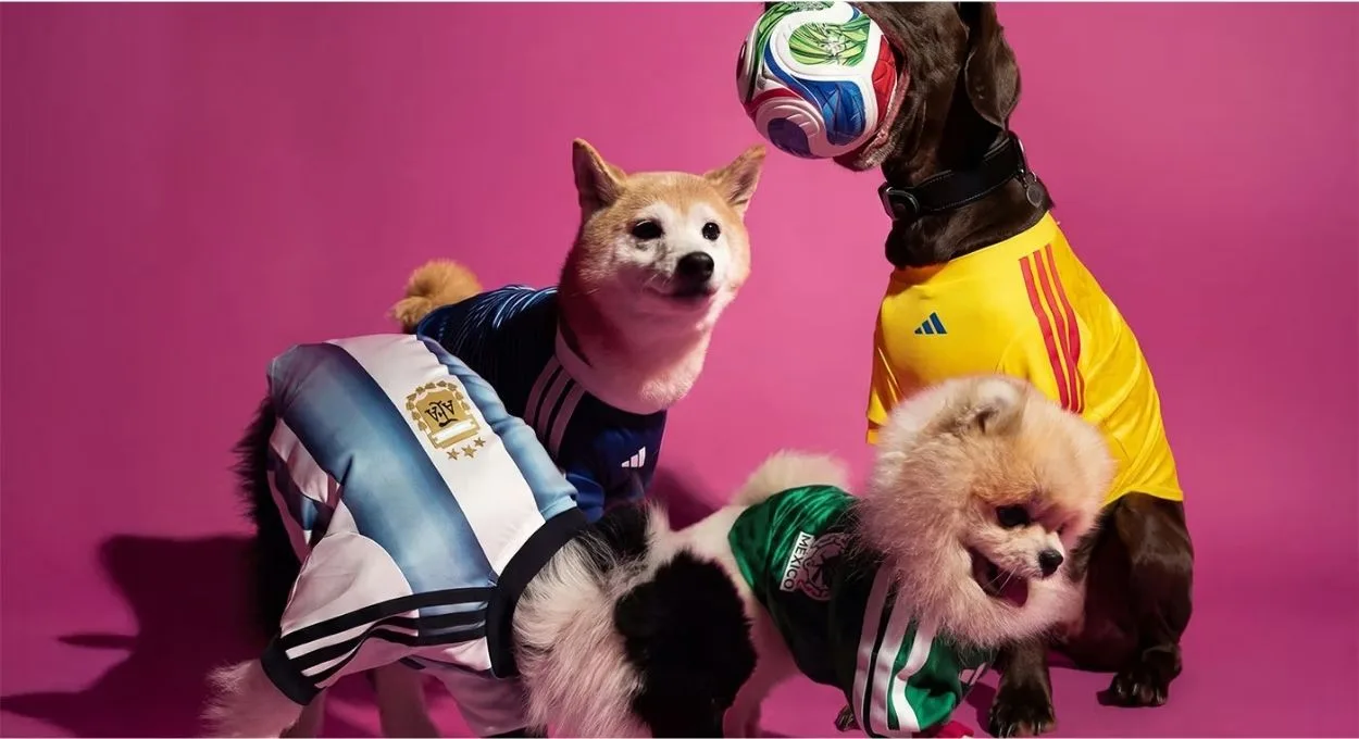 pet adidas - Seu pet pode vestir a camisa da Copa 2026 — e a Adidas tornou isso realidade