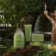 anitta natura ekos equilibrivm - Menta amazônica, espiritualidade e luxo acessível: o novo mundo olfativo de Anitta