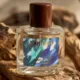 phebo 1024x587 1 - Phebo lança Marajó: o perfume que traduz a força da Amazônia em cada borrifada