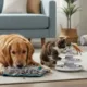 tpys apt - Enrichment toys: a trend que está deixando pets de apartamento mais calmos (e menos destruidores)