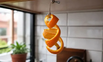 casca laranja cozinha - O motivo real por trás da casca de laranja pendurada na cozinha (e não é só pelo cheiro)