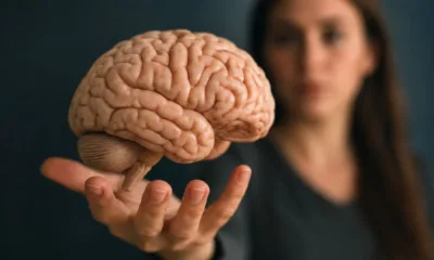 cerebro mulher - A parte do seu cérebro que decide seu futuro e quase ninguém conhece