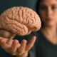 cerebro mulher - A parte do seu cérebro que decide seu futuro e quase ninguém conhece