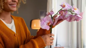 Orquídea em agosto: o gesto simples que faz ela voltar a florescer com força total