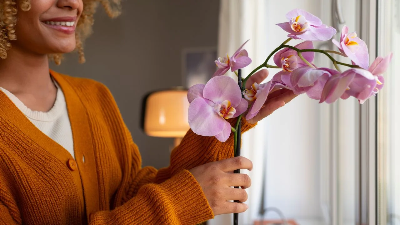 mulher flor orquidea - Orquídea em agosto: o gesto simples que faz ela voltar a florescer com força total