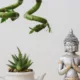 plantas feng - Feng Shui revela: essas 4 plantas na entrada de casa podem mudar sua sorte financeira