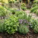 plantas rato - Plantas Aromáticas Que Afastam Ratos do Jardim: o Truque Que Substitui a Armadilha