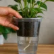vaso capilaridade - Cansada de esquecer de regar? Esse vaso com pavio resolve isso por você