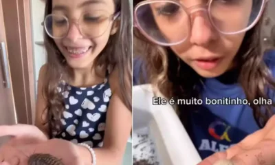 alice tatu - Aos 9 anos, Alice vira sensação nas redes ao escolher tatus-bolinha e baratas como pets e surpreende a família