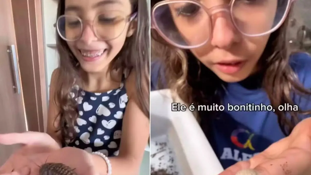 alice tatu - Aos 9 anos, Alice vira sensação nas redes ao escolher tatus-bolinha e baratas como pets e surpreende a família