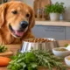 cachorro tempero - Cachorro pode comer tempero? Veja quais ervas são liberadas na comida do pet e os ingredientes da cozinha que podem intoxicar