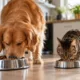racao pet - Ração premium x ração comum: veja o que muda na saúde do pet depois de anos de alimentação