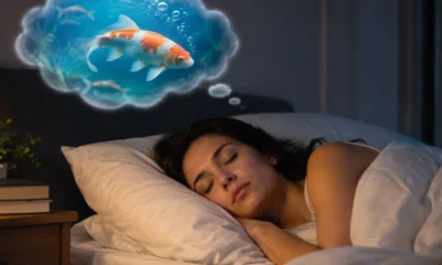 sonhar peixe - Sonhar com peixe pode ser sinal bom ou aviso: descubra a diferença entre os cenários mais comuns desse sonho