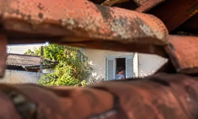 sonho telhado - Sonhar com telha e ver o vizinho por uma fresta revela mais sobre você do que sobre quem está do outro lado