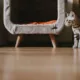 pexels helen1 20211113 - Adaptação de gatos em apartamento novo: como evitar a ansiedade de mudança?